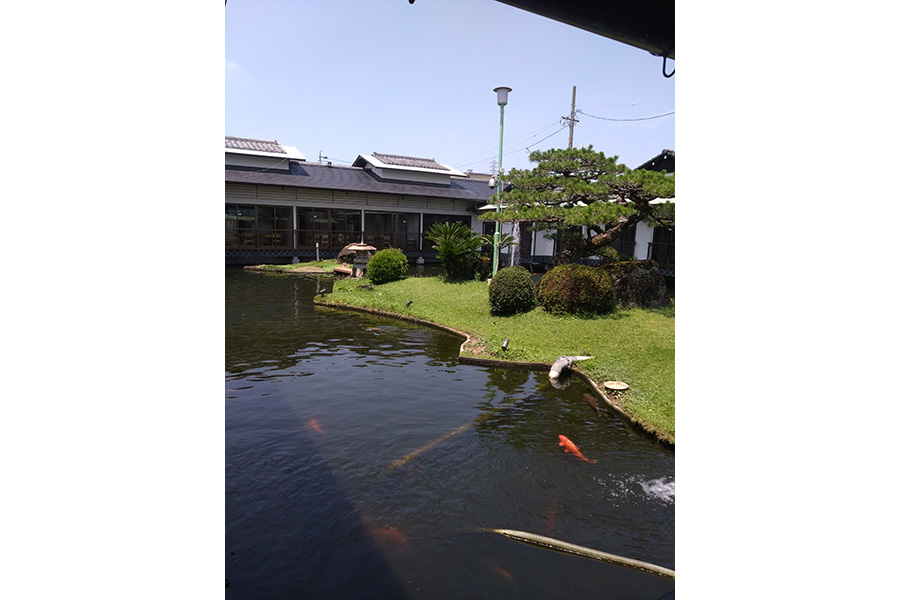 イメージ1