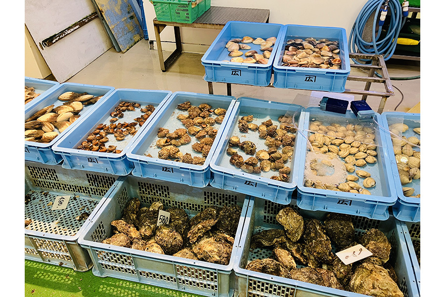 地魚食堂 てるてる
