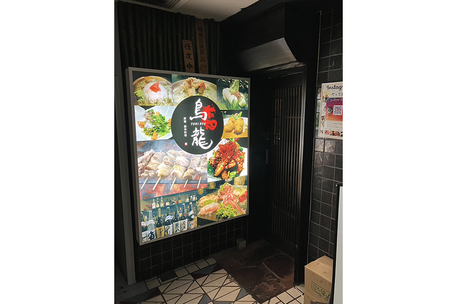 鳥龍